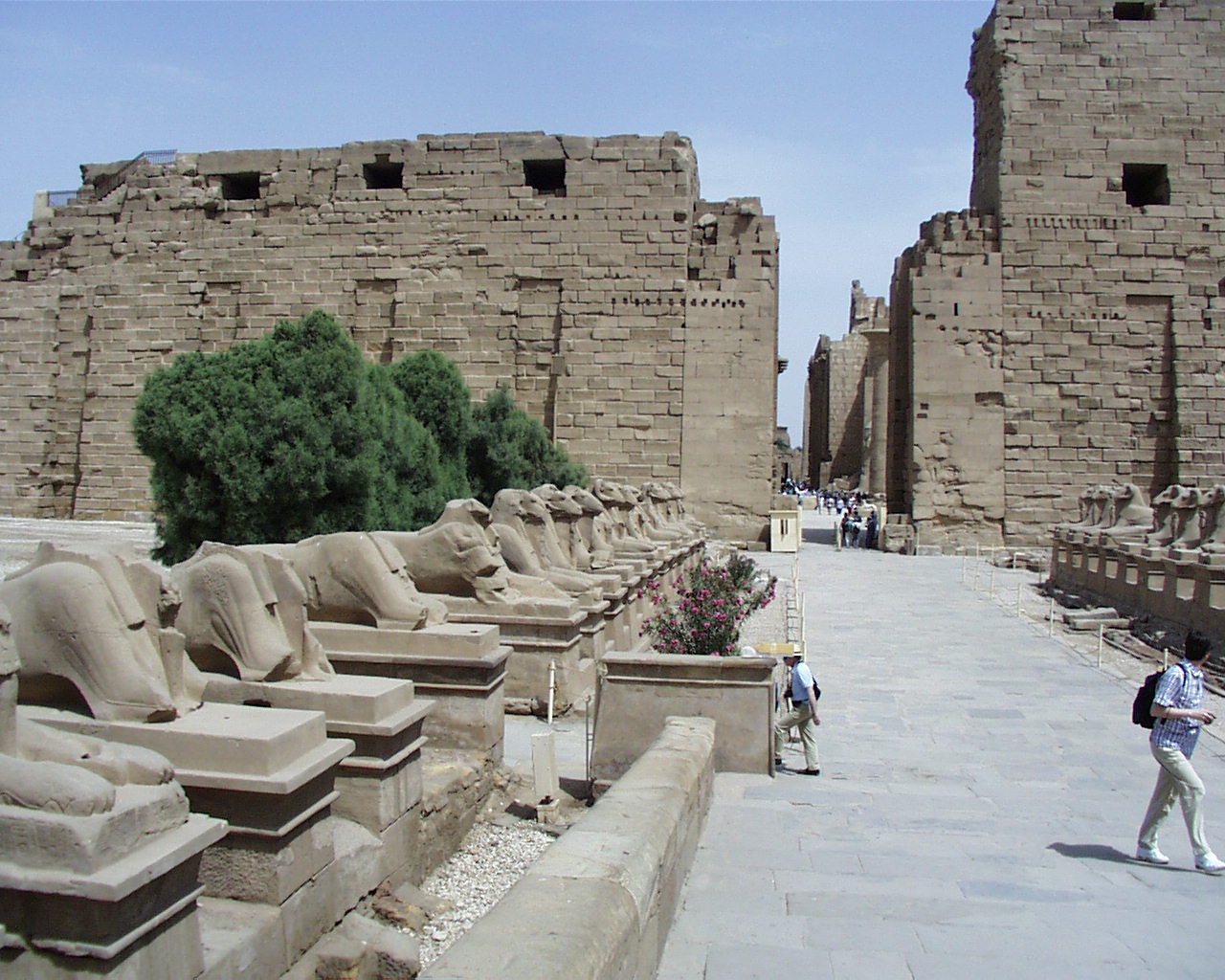 عفروتو: صور المعالم السياحية في الاقصر - صور السياحة بالاقصر - صور زوار مصر