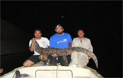 صيد التمساح الهارب بجوار خزان أسون وإعادته لبيئته الطبيعية 