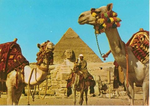 قافلة سياحية مصرية باليابان تزامناً مع استئناف رحلات مصر للطیران الى طوكيو