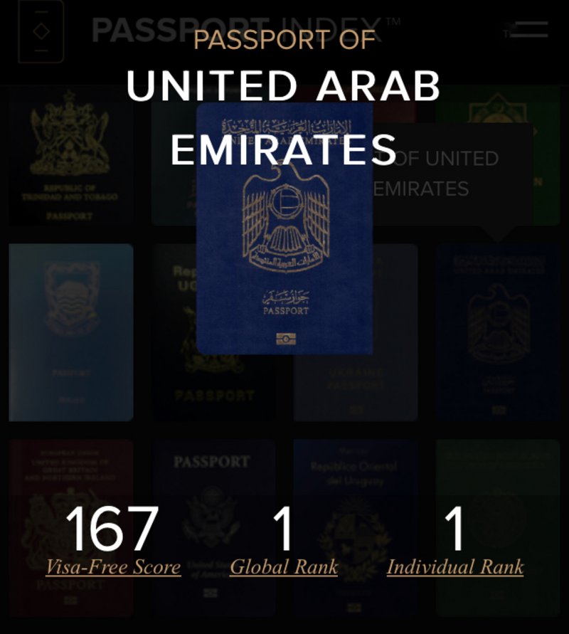 لأول مرة .. جواز سفر عربي يتخطى الحدود ويتصدر العالم.. هنا التفاصيل
