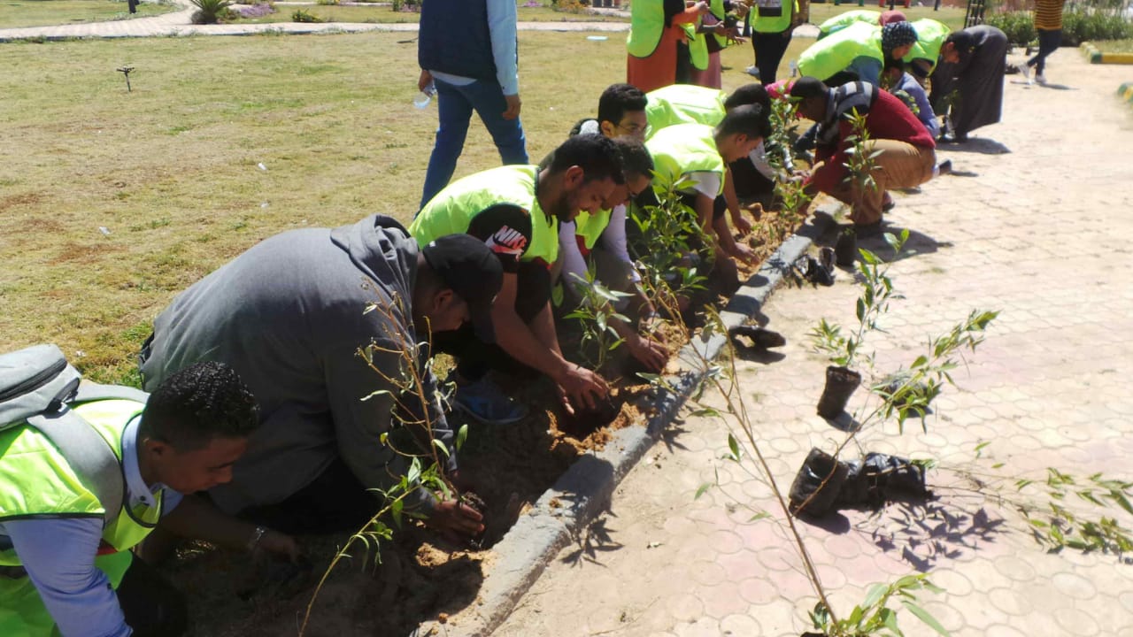 انطلاق المرحلة الاولي من مبادرة زراعة 3 الاف شجرة باسوان الجديدة

