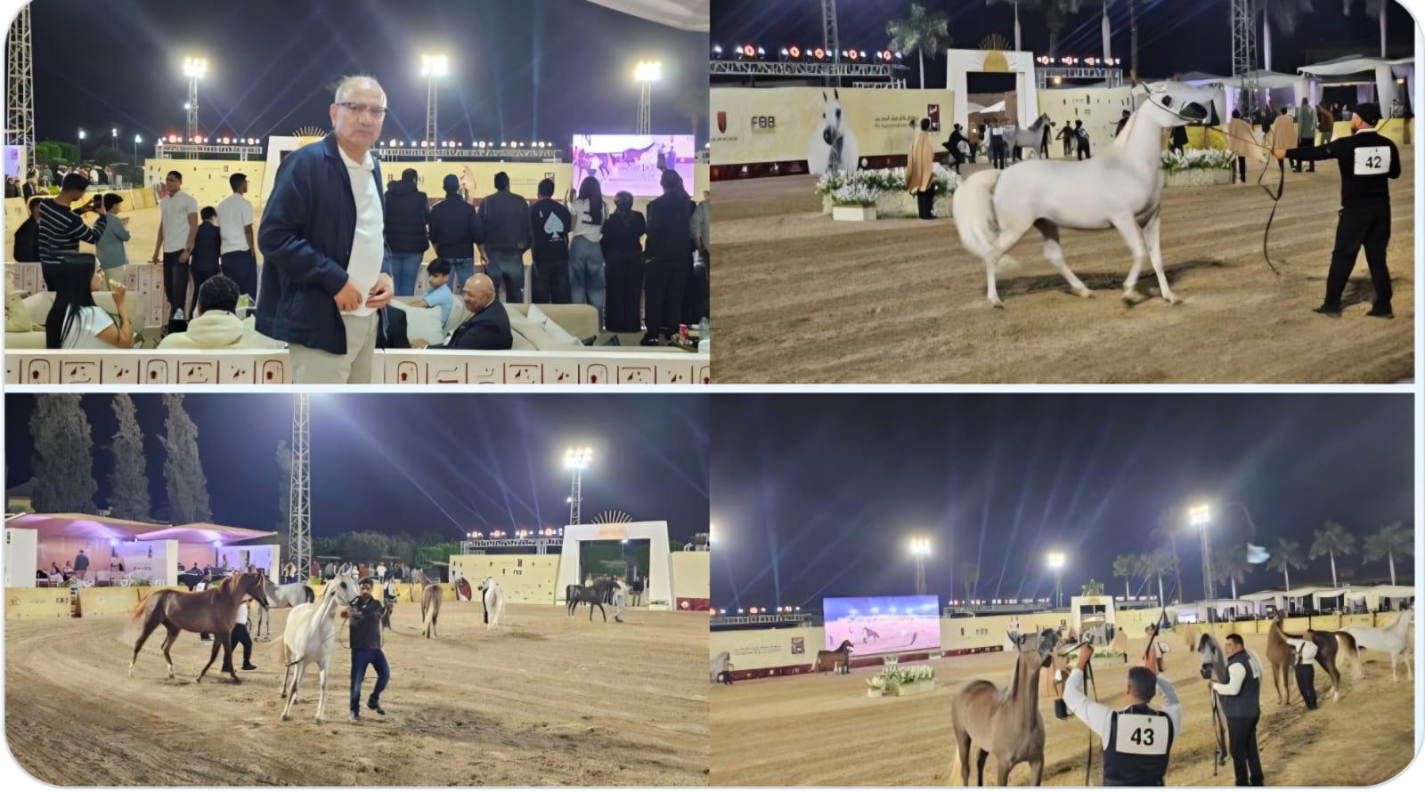 السفير التركي بالقاهرة يشيد بعراقة الخيول المصرية الأصيلة خلال مشاركته بمهرجان الخيل المصري